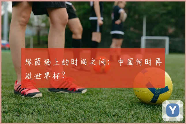 绿茵场上的时间之问：中国何时再进世界杯？