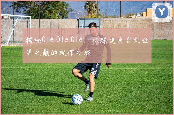 揭秘Ole Ole Ole：从球迷看台到世界之巅的旋律之旅
