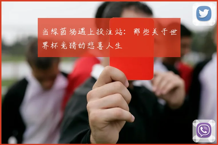 当绿茵场遇上投注站：那些关于世界杯竞猜的悲喜人生