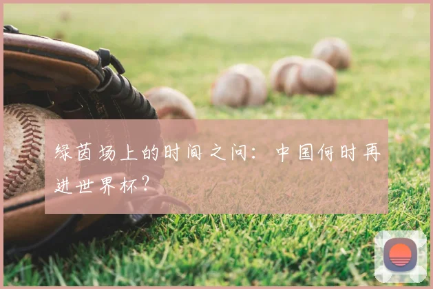 绿茵场上的时间之问：中国何时再进世界杯？