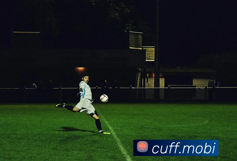 爱体育官网app下载平台生态图